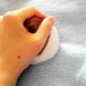 はーちゃんボールの画像