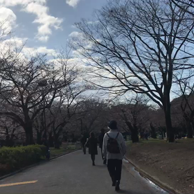 ♪お散歩動画♪代々木公園♪①の画像