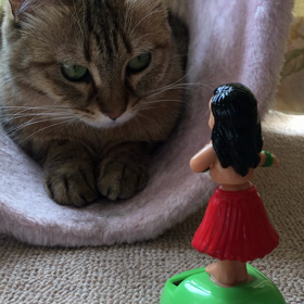 ◆疲れを感じたら即休むの画像