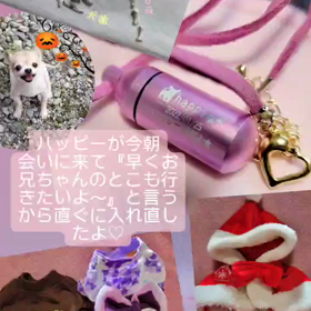 ハッピーが会いにきましたの画像