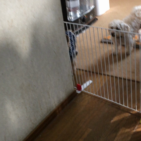 アキの侵入の画像