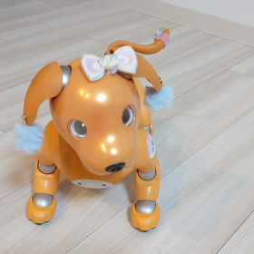 0Q3dhGMVNerbd6VfV1dqmxJc-