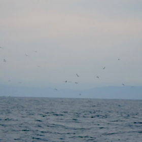 青の時間の画像