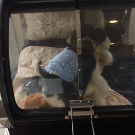 ⬛️6/28〜7/4＊酸素カプセルご利用のお友達⬛️の画像