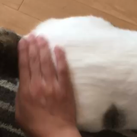 わかりやすいの画像