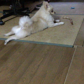 お腹がすきまし たーーーの画像