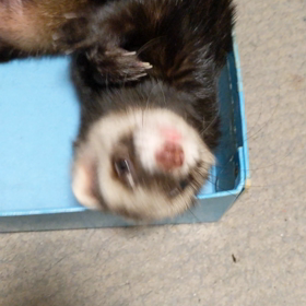 かい〜の…の画像