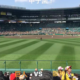 青山会場 甲子園 春ツアー2018の画像