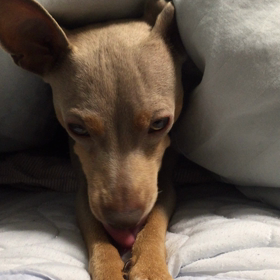 大ちゃんと一緒♫  パワーストーン  水戸市の画像