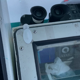 かなりご無沙汰してます！今度はキハダで！の画像