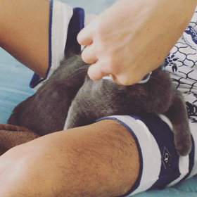 最強兵器の画像