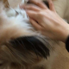 近くに行きたいけど…の画像