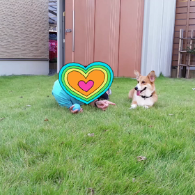 先生とゴローン、秋。の画像