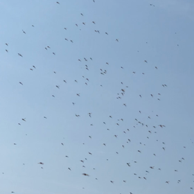 なんとかして〜の画像