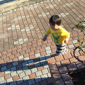 今日も元気いっぱいの画像