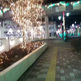 食い過ぎたので散歩してきましたの画像