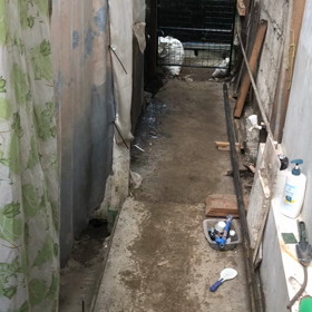 何とか捨てる物をかき集めの画像