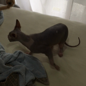 朝から元気の画像