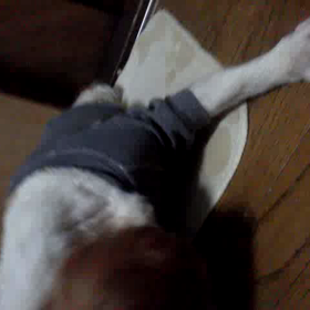 ４回目の命日の画像