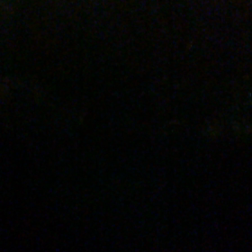 小さい秋み～つけた♪の画像