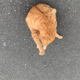 ナンパされました。（2回目！）の画像