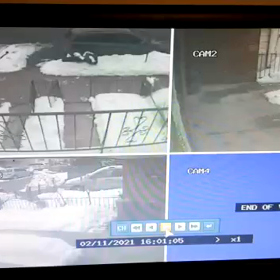 ついにうちにも、、、の画像