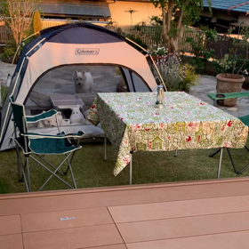 おうちキャンプの画像