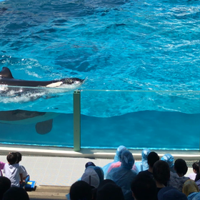 夏合宿34の画像