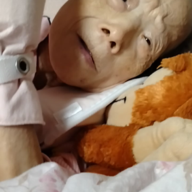 今日のアイちゃんの画像