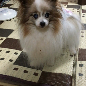 ８月21日朝のリーベの画像