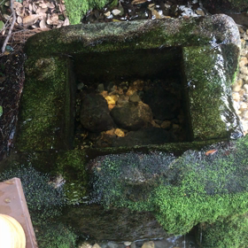 秋分の日によせての画像