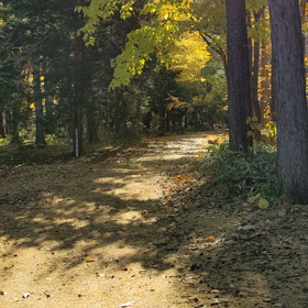 祝福を❣️の画像