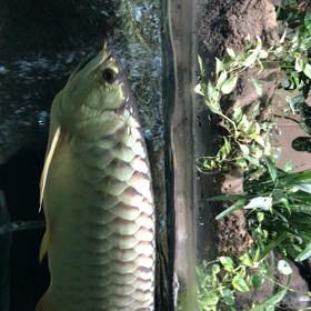 円山動物園 ⑤の画像