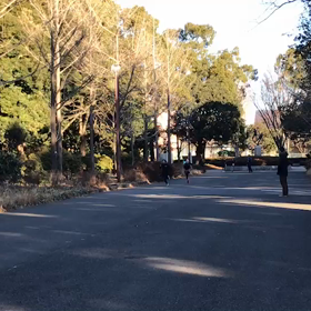 選考会 女子の画像