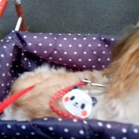 ７月１２日の画像