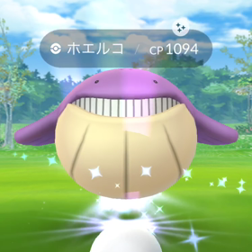 色違い✨の画像