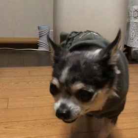 もうすぐですね。の画像