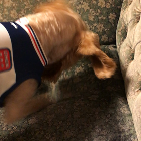 半端なく暑いので家遊びの画像