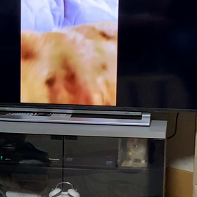 懐かしい動画に涙の画像