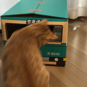 雑な配達の画像