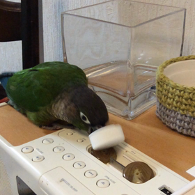 カップイン！の画像