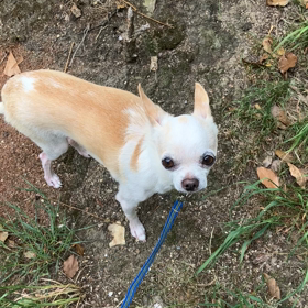 台風接近の画像