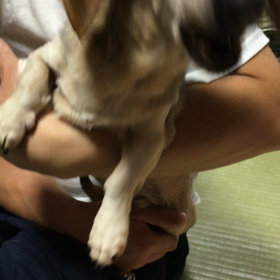 １日一回！の画像