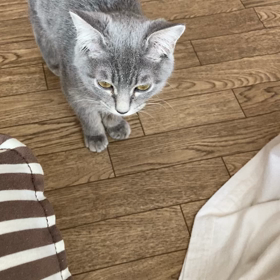 ムティアン投薬20日目  もう大丈夫だよね！の画像