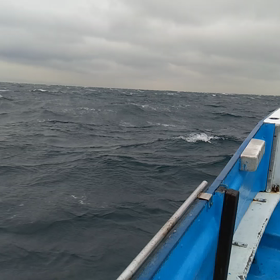 三度？？？の画像