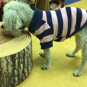 何でだろ？の画像