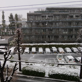 雪が降ってますの画像