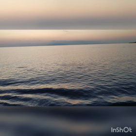 イルカの大群の画像