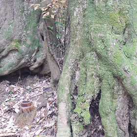 5月の営業についての画像