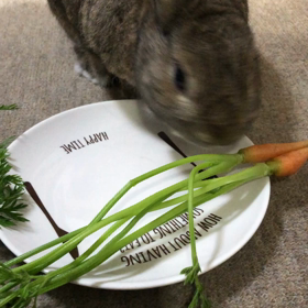 産直おやつの画像